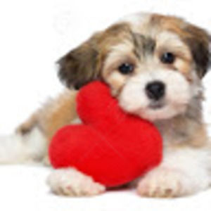 Meet your Posher, Anyrea